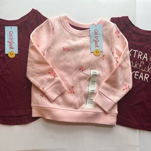 18 Month Cat & Jack Girls Shirt Bundle